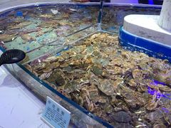 -澜悦港海鲜体验主题餐厅