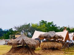 -光明小镇欢乐田园