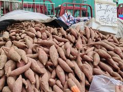 -何庄子阿米玛玛农产品批发市场