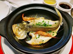 砂锅黄鱼-锡和无锡菜(景丽苑店)