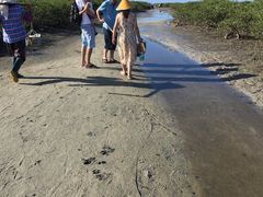 -红树林天天赶海
