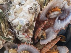 -宾朋海鲜美食特色餐厅·纯手工鲅鱼水饺(兴海路店)