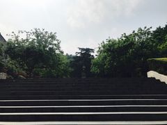 -伯先公园