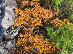 -秦岭终南山世界地质公园翠华山景区