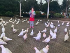 -南昌之星摩天轮