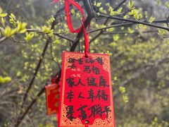 -易水湖景区