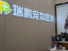 -瑞鹏宠物医院·微创内窥镜·骨外科·牙科(翠竹分院)