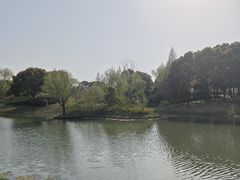-巡塘古镇