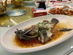 干煎多宝鱼-金华安大酒楼·老牌潮菜·粤式茶点(东方国际店)