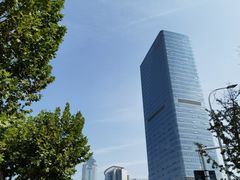 -华中科技大学同济医学院附属同济医院(汉口院区)