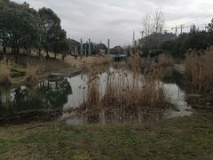 -美兰湖景区