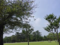 -奈良公园