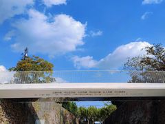 -上海山野camping·户外天幕烧烤·团建拓展营地