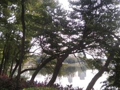 -荔湾湖公园