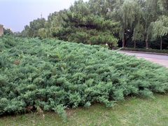 android_upload_pic-辽宁大学(崇山校区)