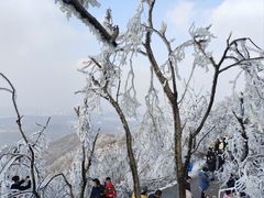 -紫金山山顶公园