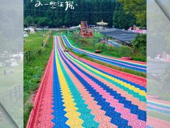 -武陵山森林公园