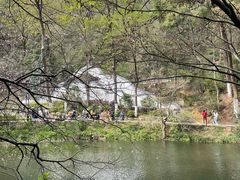 -岳麓山风景名胜区