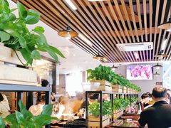 大堂-八合里潮汕鲜牛肉火锅(深圳海岸城店)