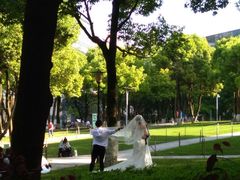 -重庆市江北嘴中央商务区中央公园