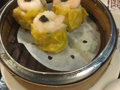 -糖朝(尖沙咀店)