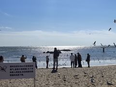 -老虎石海上公园