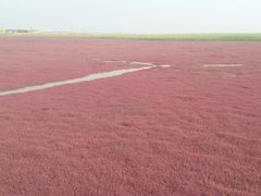 -红海滩国家风景廊道