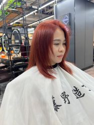 -藤野造型