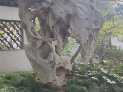 -上海醉白池公园