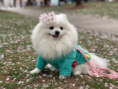 -龙美术馆(西岸馆)