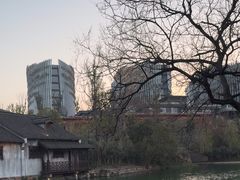 -乌镇景区