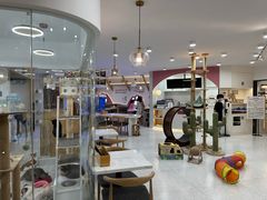 -喵园·猫主题咖啡厅·撸猫·猫咖(国贸店)