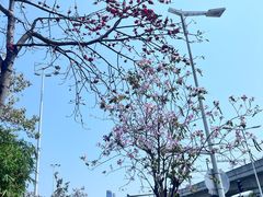 -荔湾博物馆