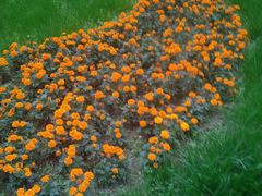 -沙河三洞古桥公园