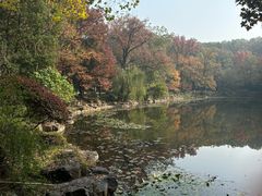 -灵谷景区