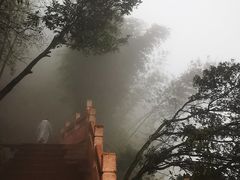 -崀山风景名胜区