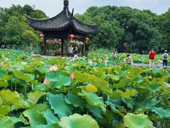 -丝绸小镇荻港古村