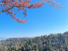 -普洱太阳河森林公园