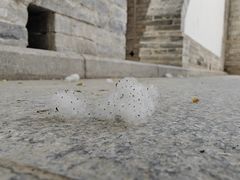 -张掖大佛寺景区