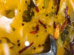 -九毛九西北菜(大东海店)