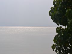 -深圳湾公园(南山区)