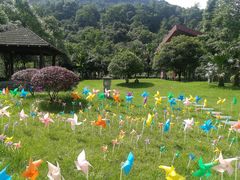 -中铁花水湾四季温泉谷