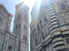 -圣母百花大教堂穹顶