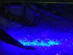 -大润发(王庄店)