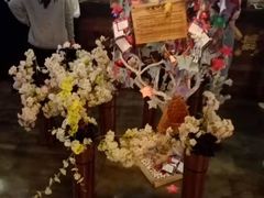 -长藤鬼校(龙翔店)