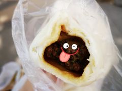 茴香肉-陈公包子(文化西路店)