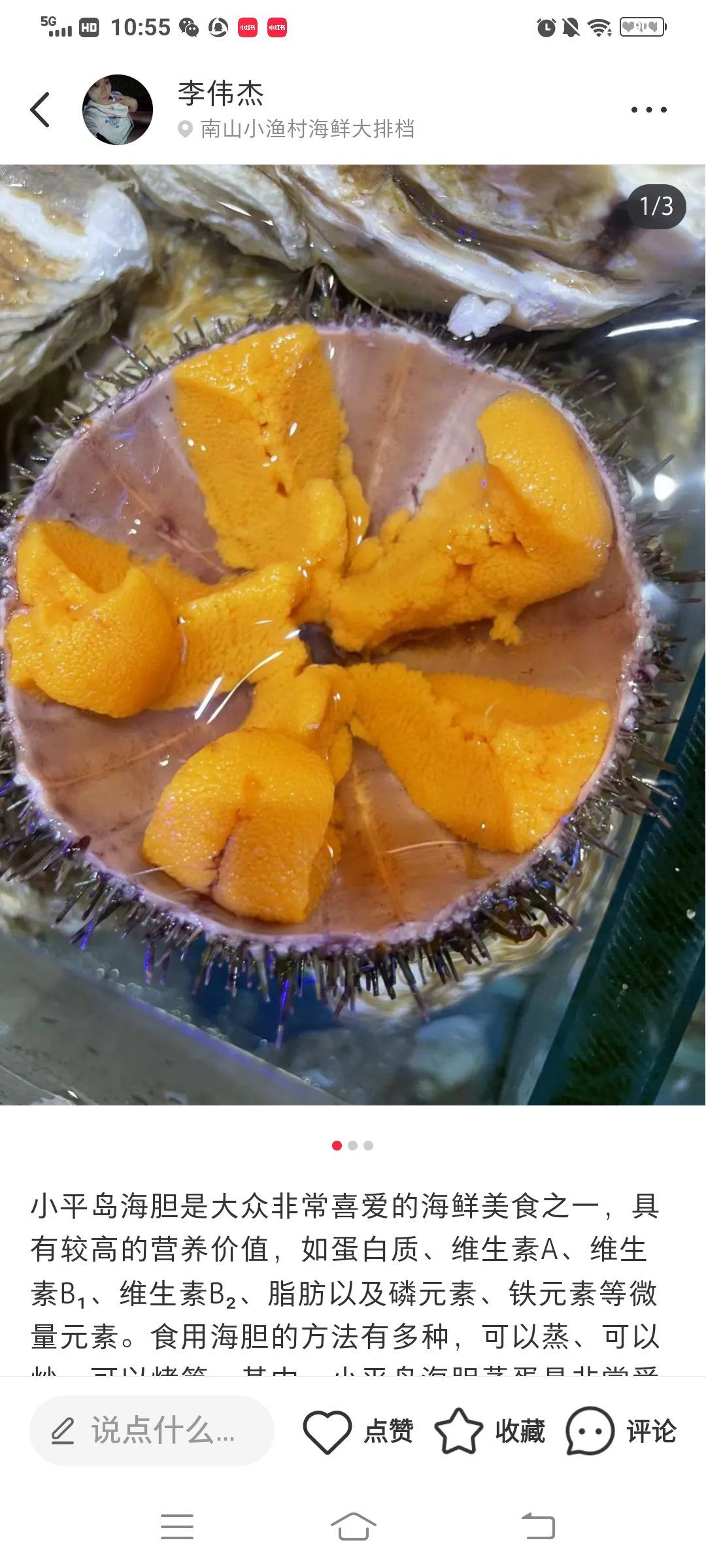 小平岛海胆是一种常见的海洋生物,它是一种