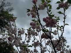 -观澜湖生态运动公社