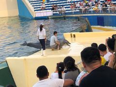 -秦皇岛乐岛海洋王国