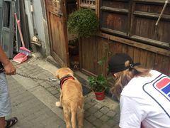 -阿木舂记·特色小吃(平江路店)